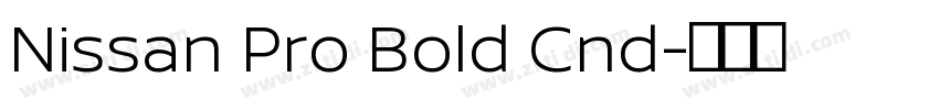 Nissan Pro Bold Cnd字体转换